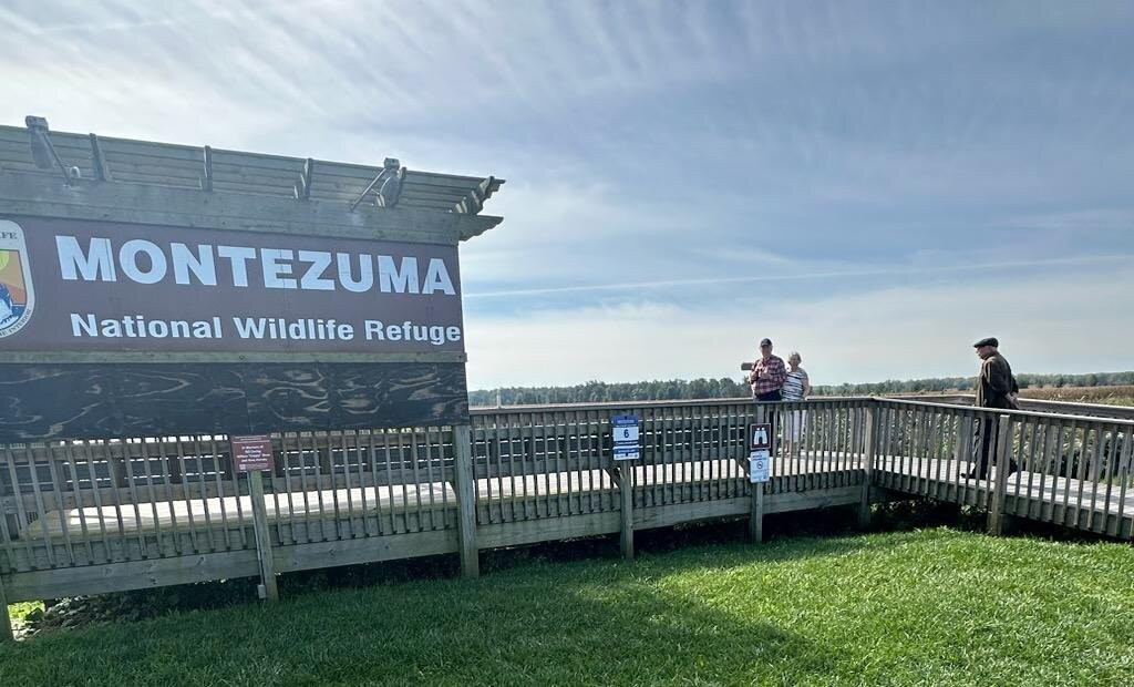 Montezuma National Wildlife Refuge景点图片