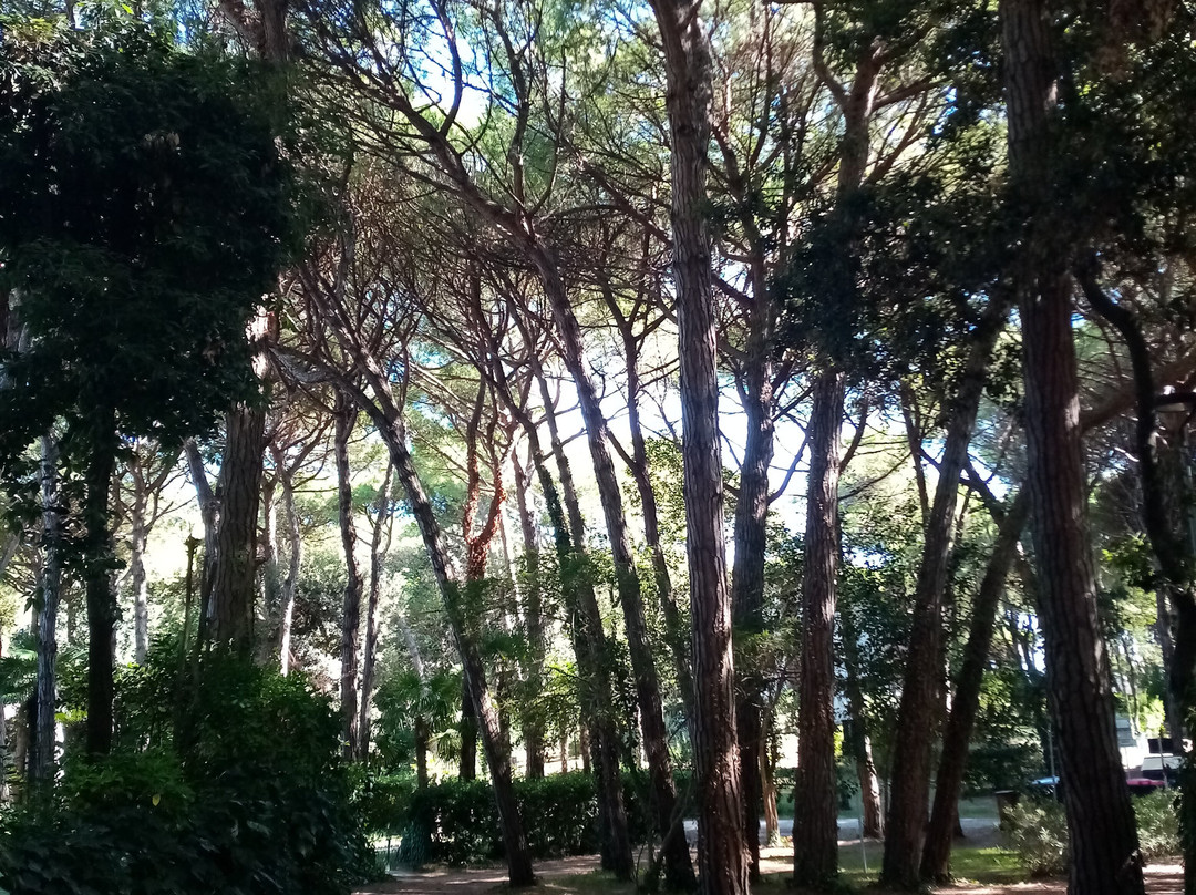 Pineta di Eraclea Mare-Eraclea Mare必去景点