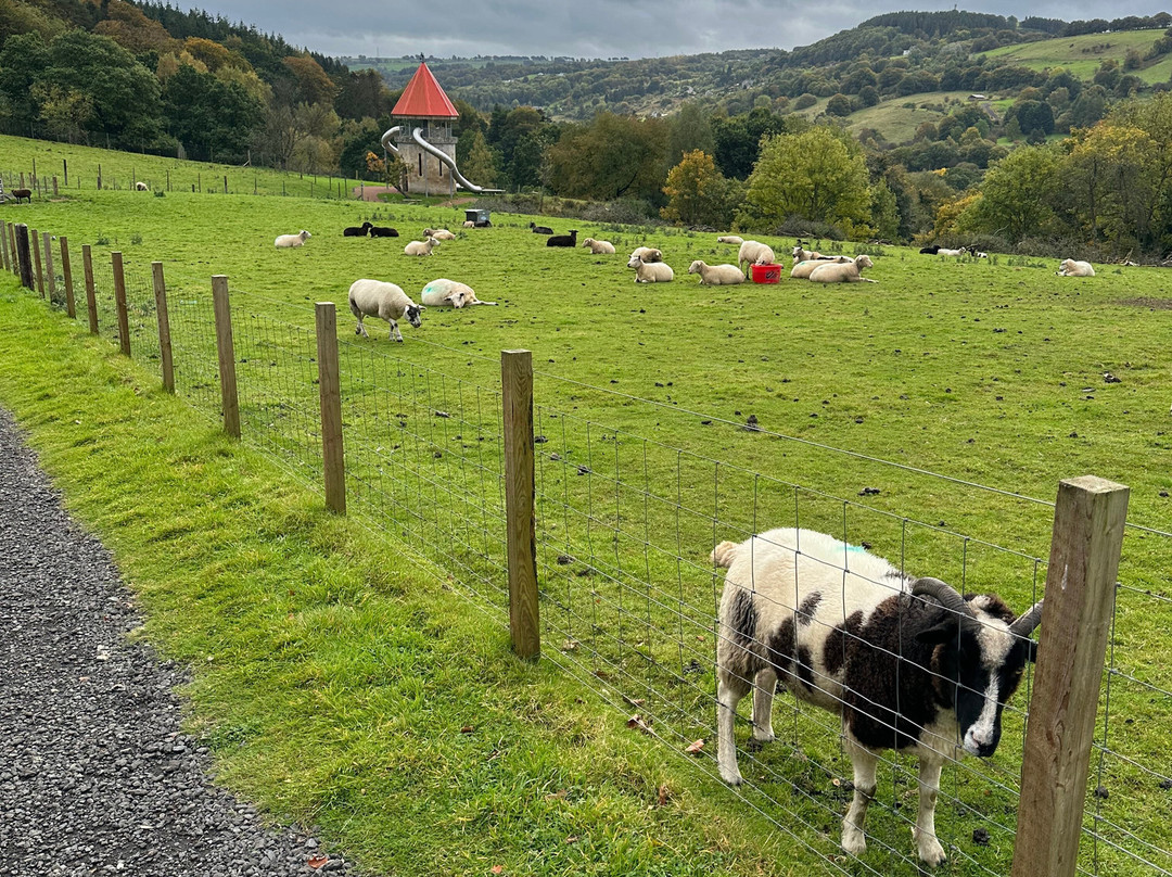 Clyde Valley Family Park景点图片