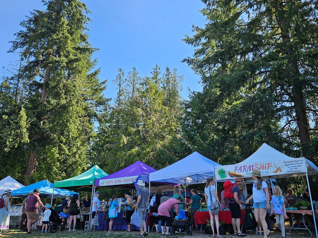 Cedar Farmers Market景点图片