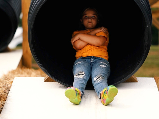 Skitts Mountain Farms