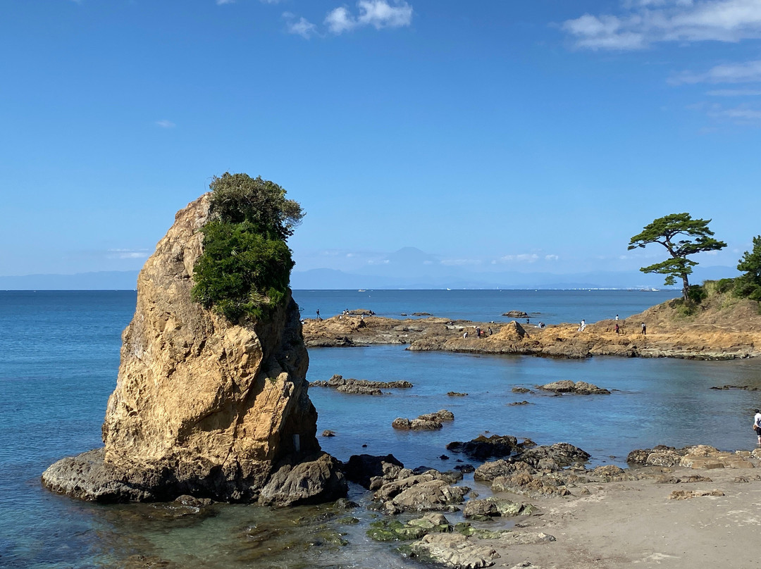 Tateishi Park景点图片