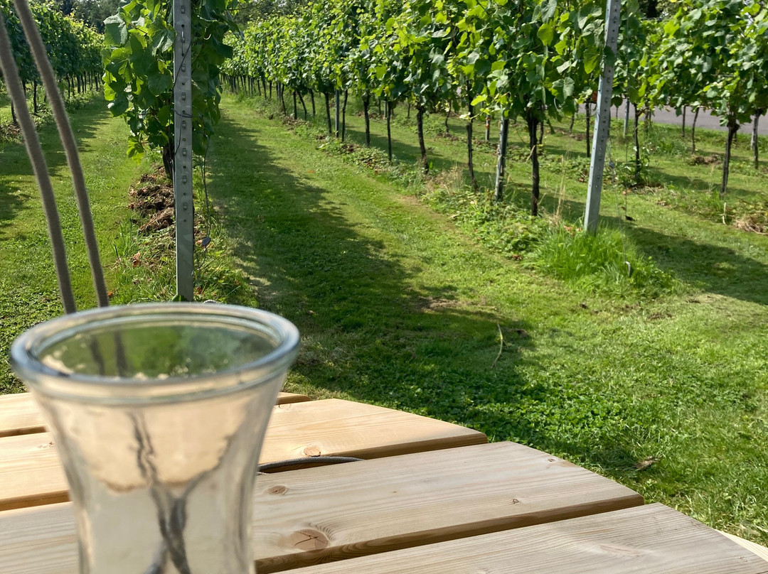 Dunesforde Vineyard-约克必去景点