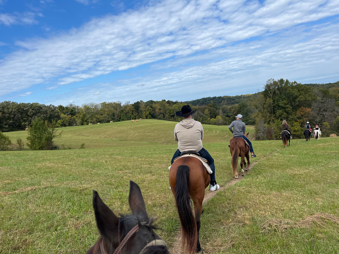 Natchez Trace Stables-Primm Springs必去景点