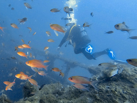 Mangamar Dive Center-Cabo de Palos必去景点