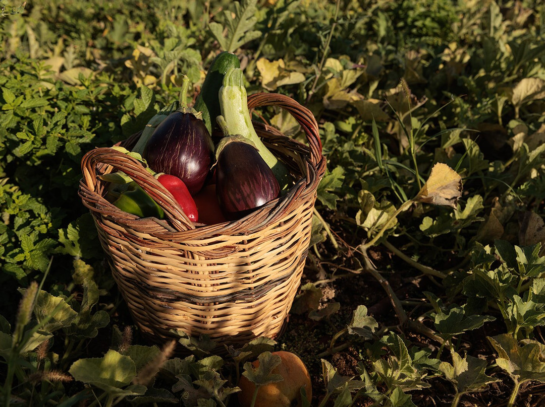 Eden Beachfront Residences & Suites主图