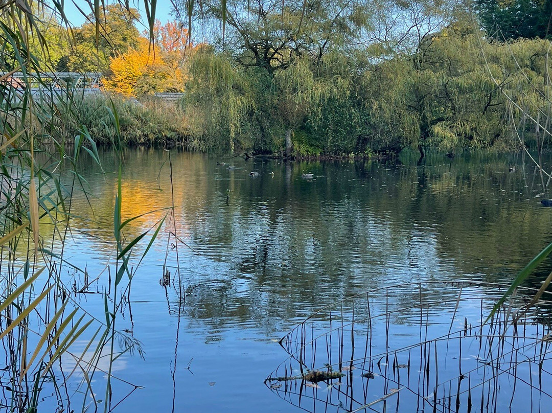 Botanical Garden Münster景点图片