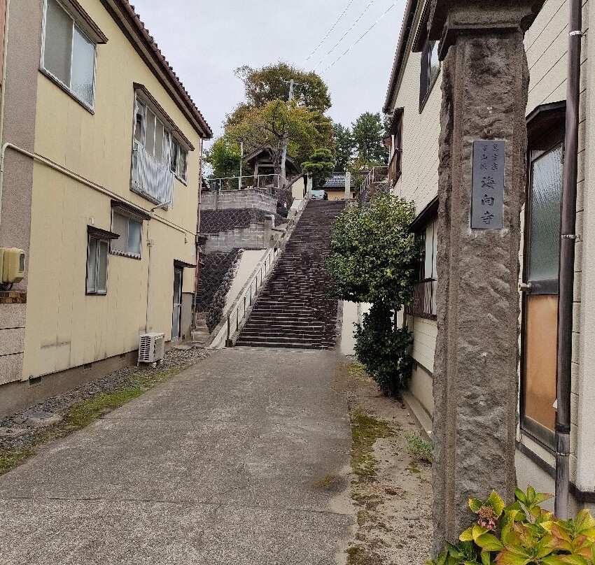 Kaikoji Temple-酒田市必去景点