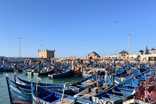 Go Booking Tours-索维拉必去景点