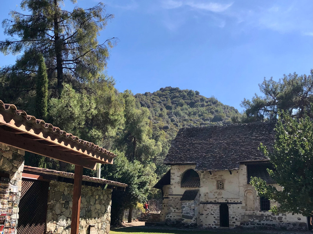 Sea Island Travel And Tours