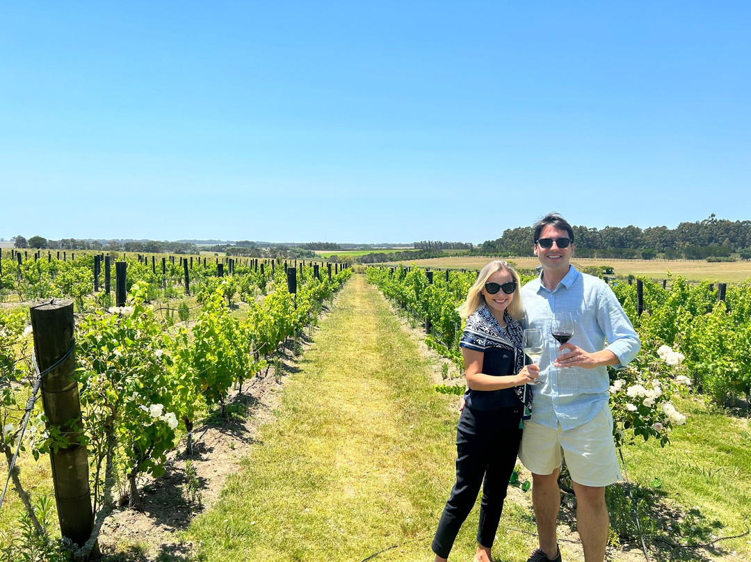 The Wine Experience-Jose Ignacio必去景点