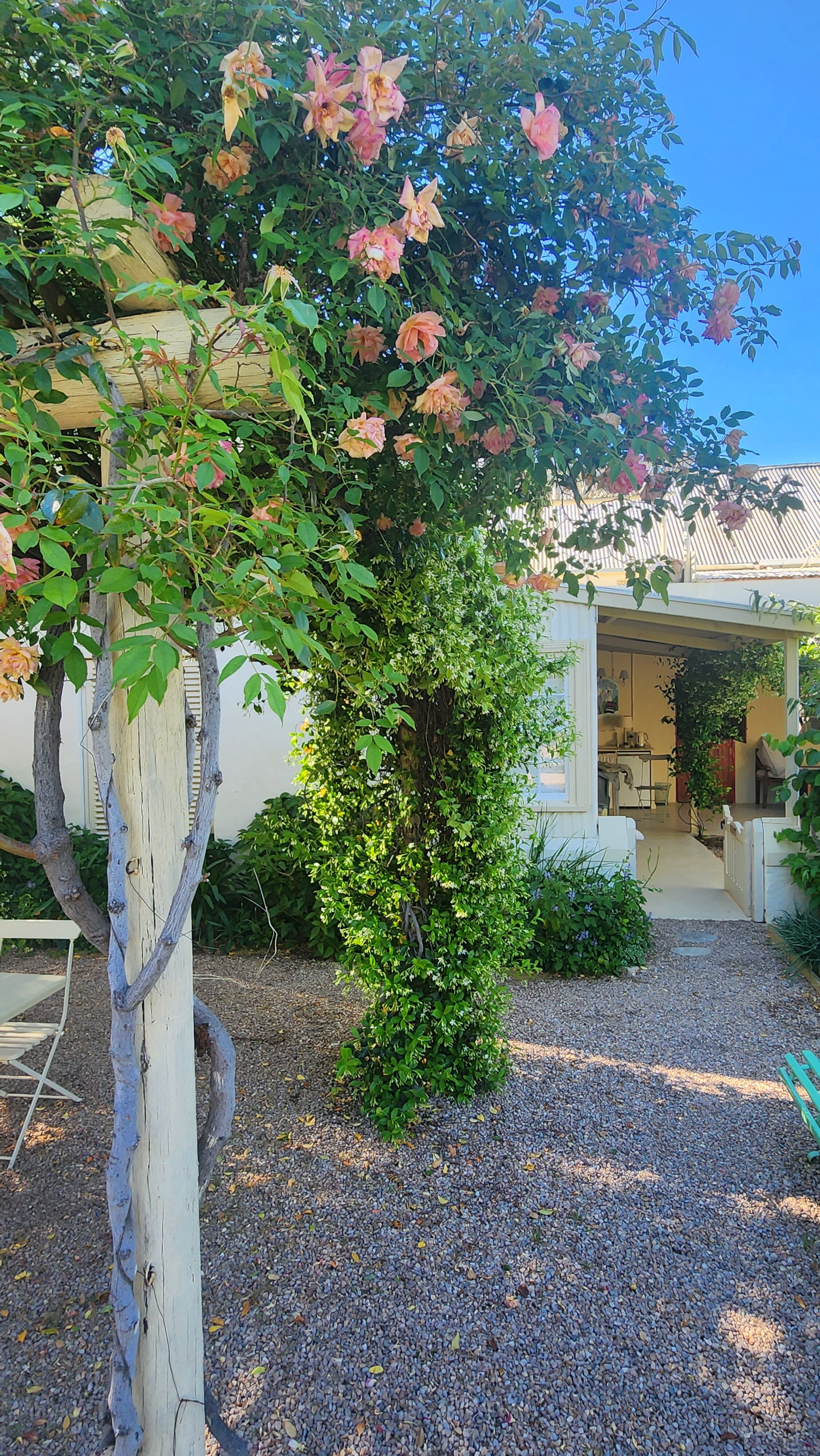 Prince Albert Country Stay-官方