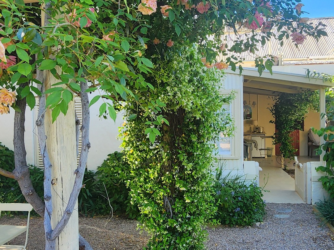 Prince Albert Country Stay主图