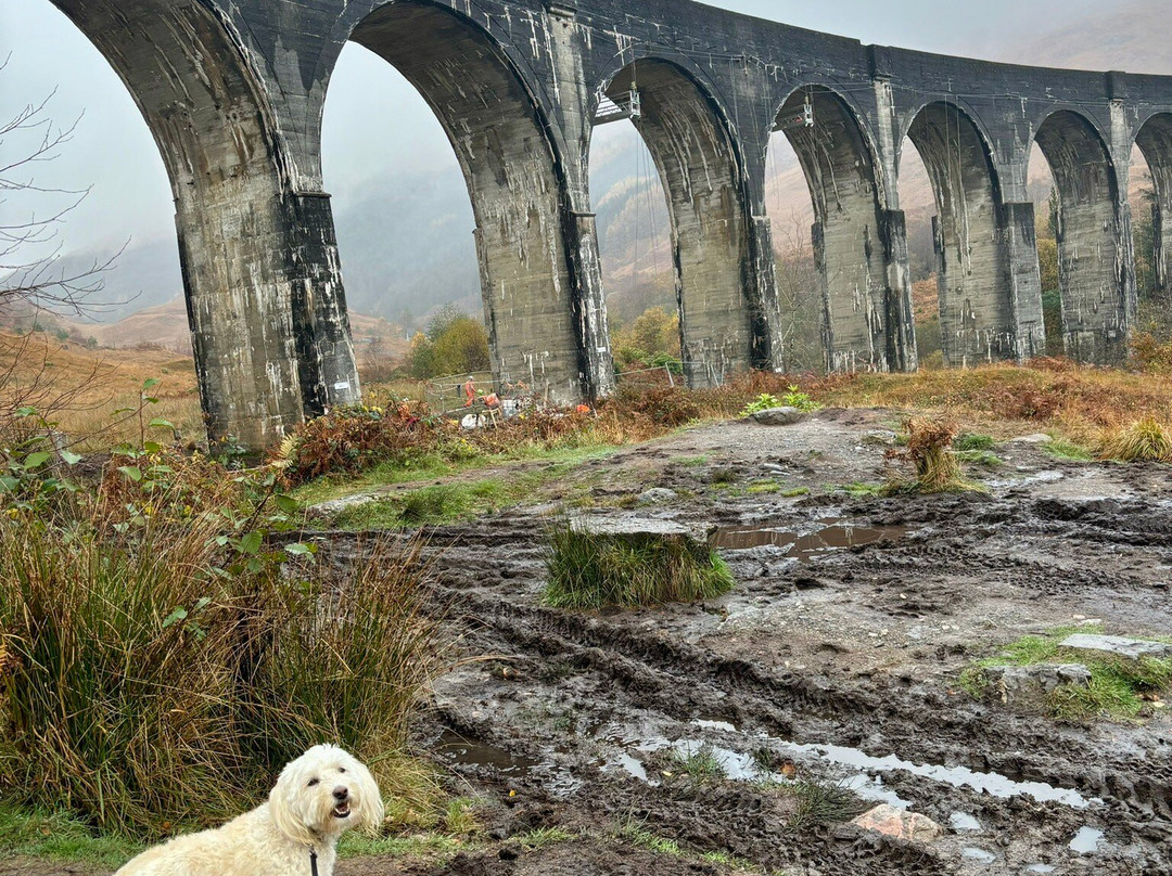 Glenfinnan Viaduct Trail-Glenfinnan必去景点