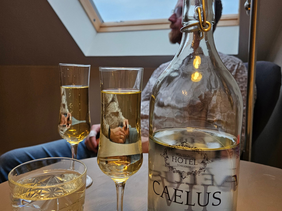 Boutique Hotel Caelus VII主图