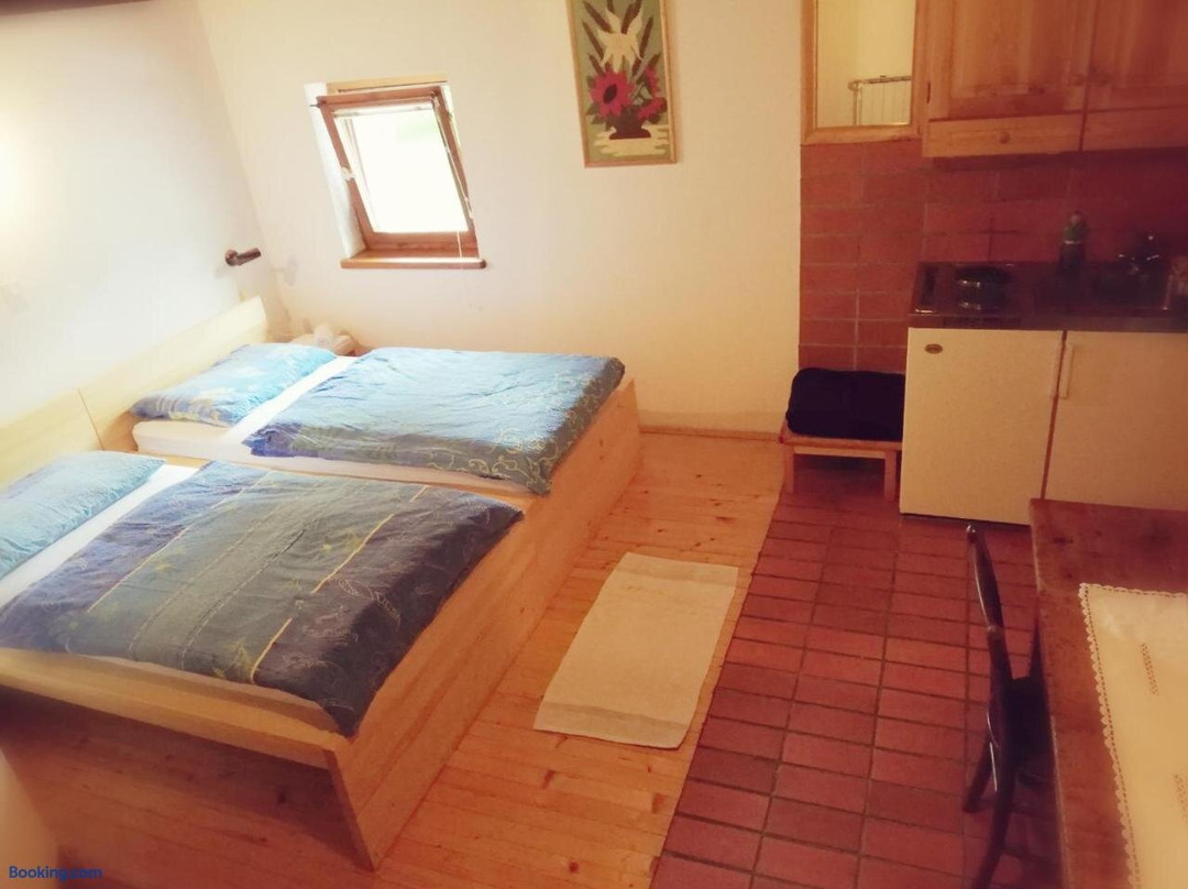 Guest House Turistična Kmetija Plaznik