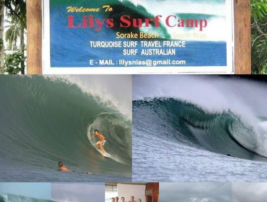 Lilys Surf Camp