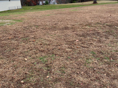 The Rec-Springvale必去景点