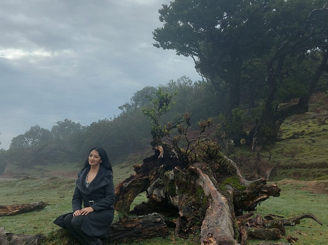 Green Devil Safari-沙尔必去景点