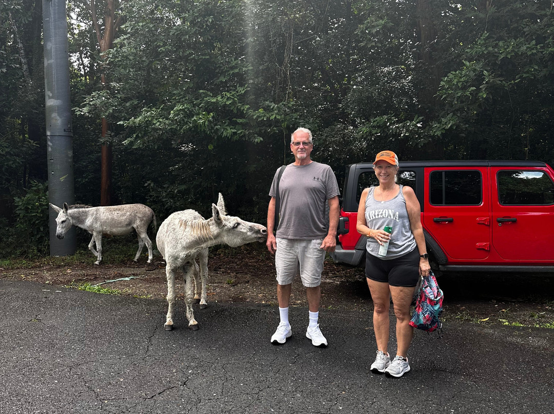 Discount Car Rental-圣 托马斯必去景点