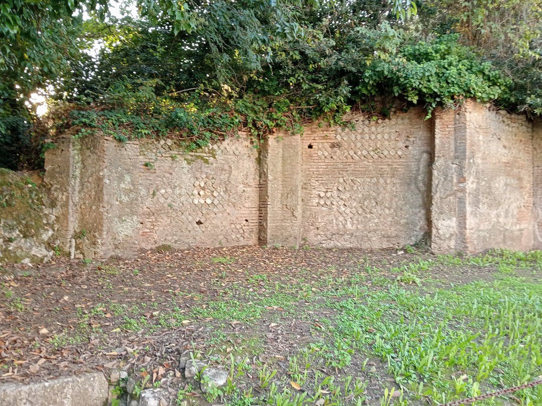 Terme Romane景点图片