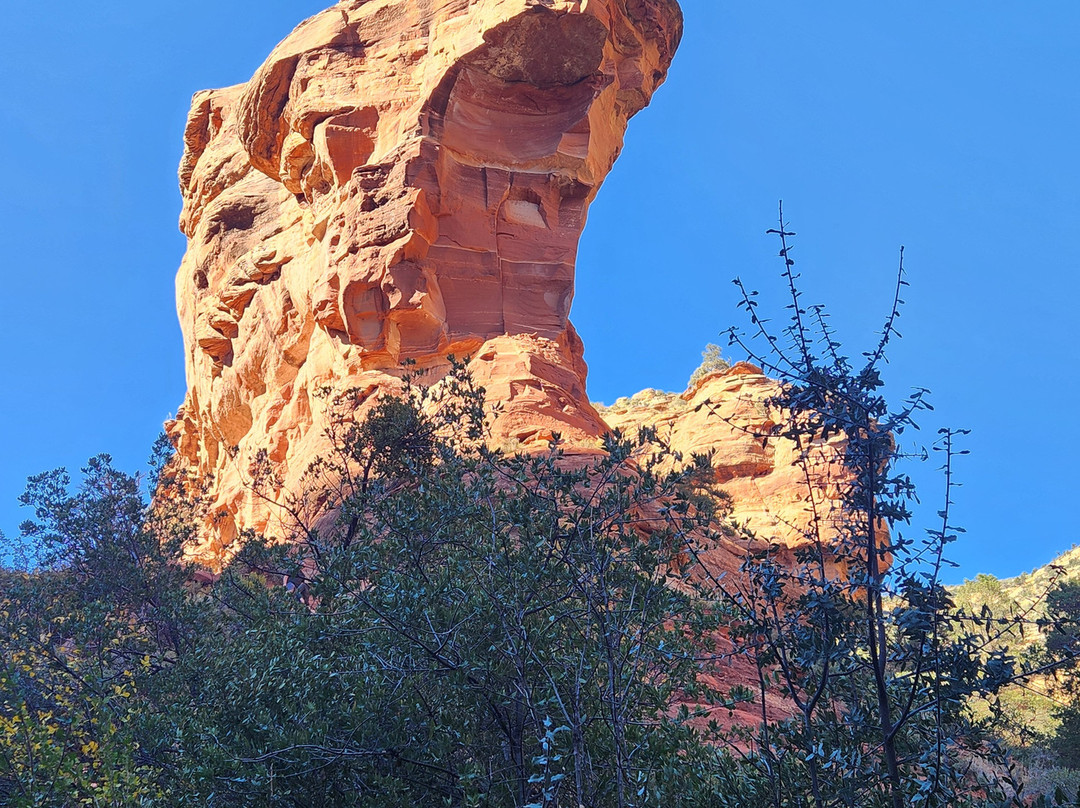 Fay Canyon Trail-塞多纳必去景点