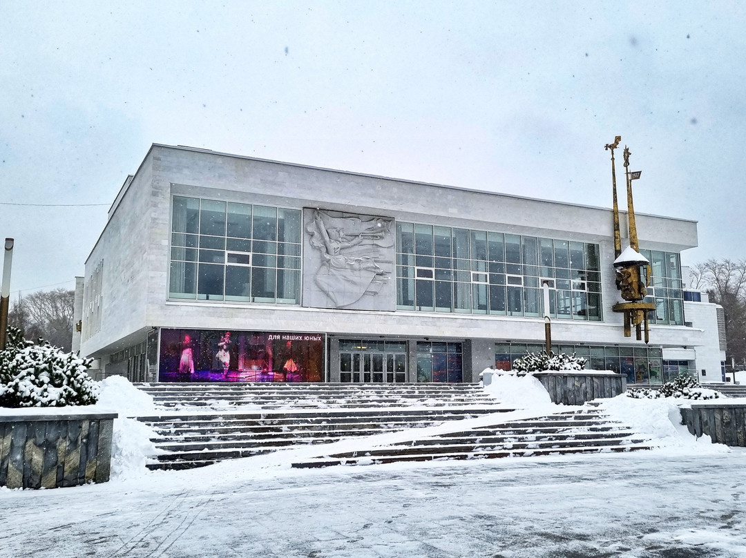 Theater of The Young Viewer景点图片