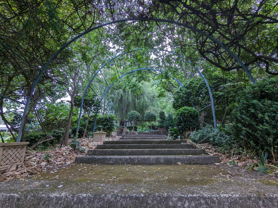The Foxglove & Co Gardens景点图片