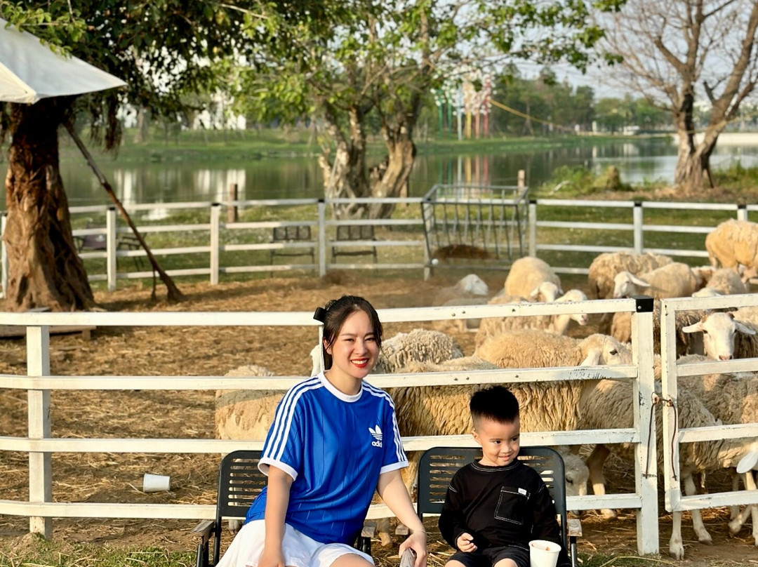 Cao Bang Eco Travel景点图片