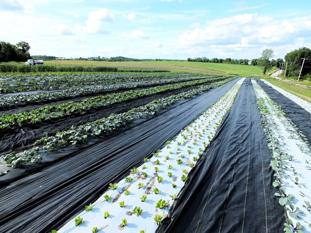 Whittier Farms-Sutton必去景点