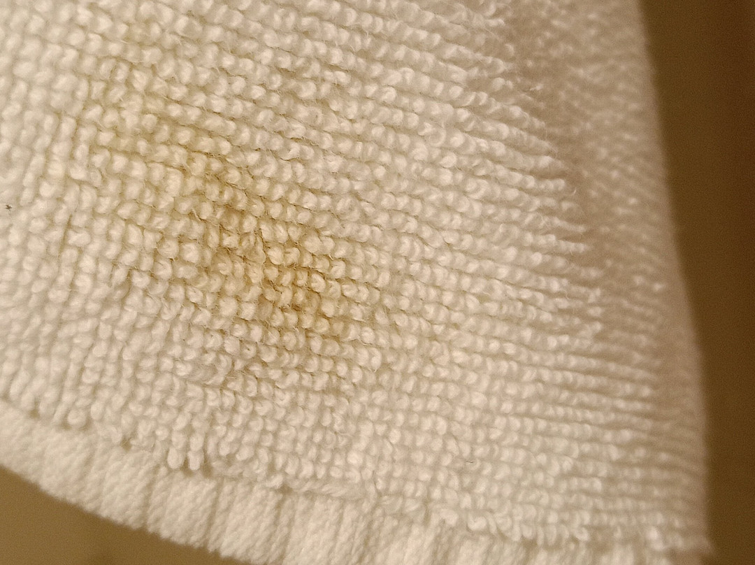 Anemon Eskisehir Hotel主图