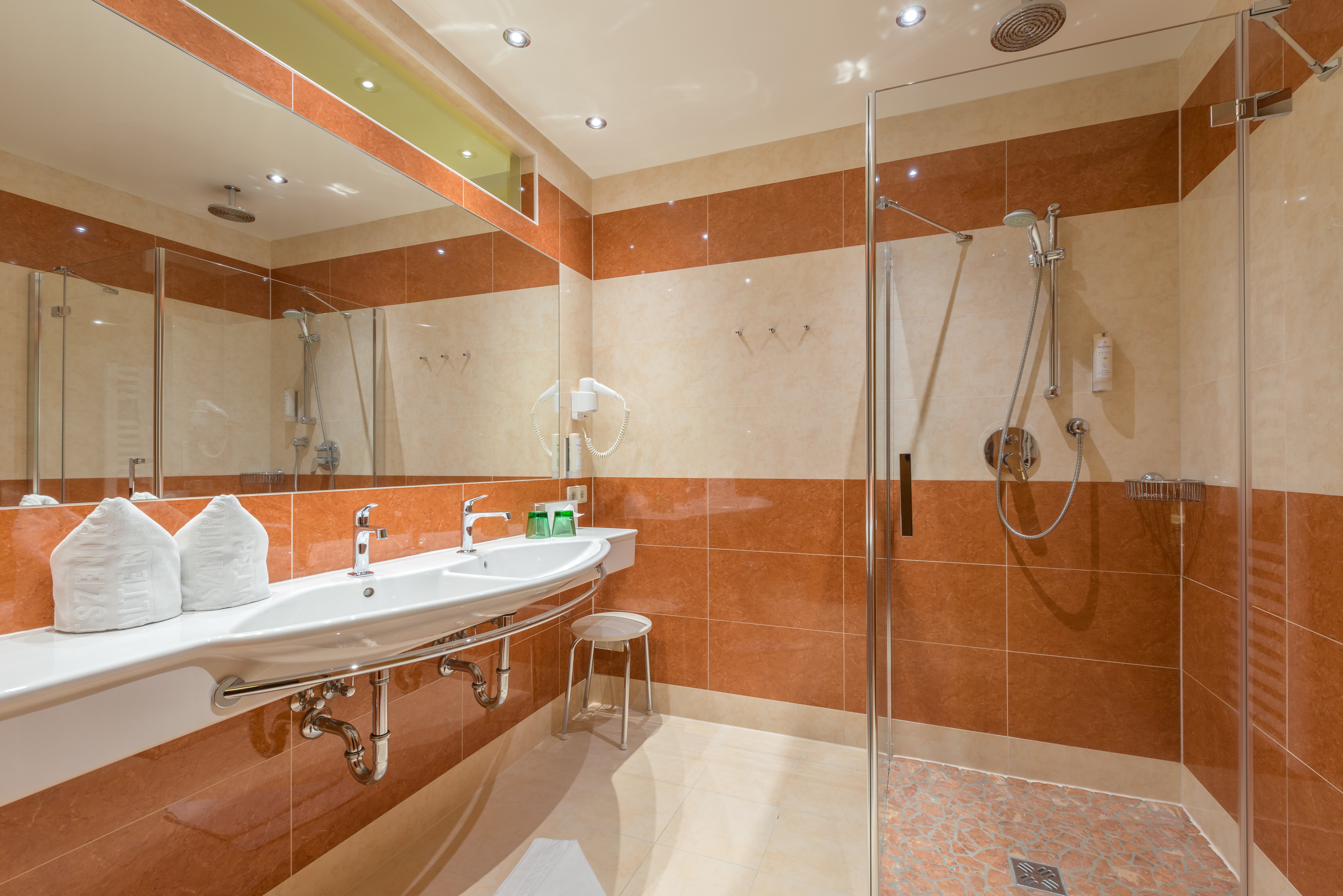 Posthotel Radstadt-客卧