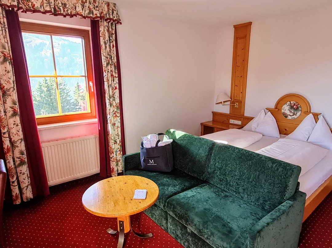 Hotel Moselebauer主图