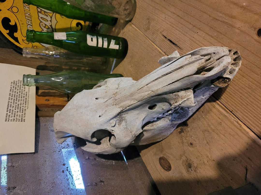 Babcock Ranch Preserve-蓬塔戈尔达必去景点