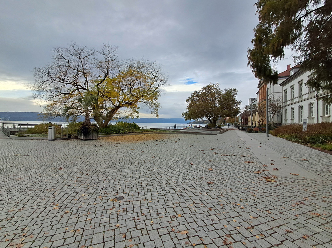 Hafen Überlingen景点图片