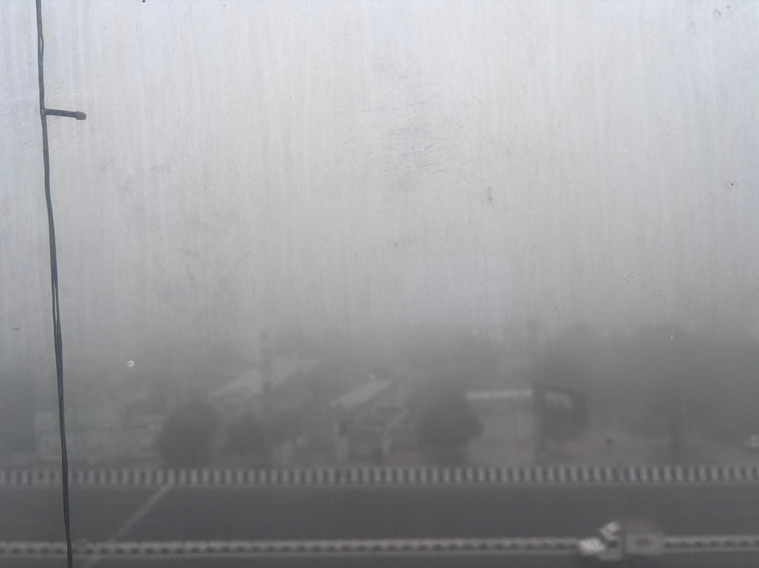 The Palm Court主图