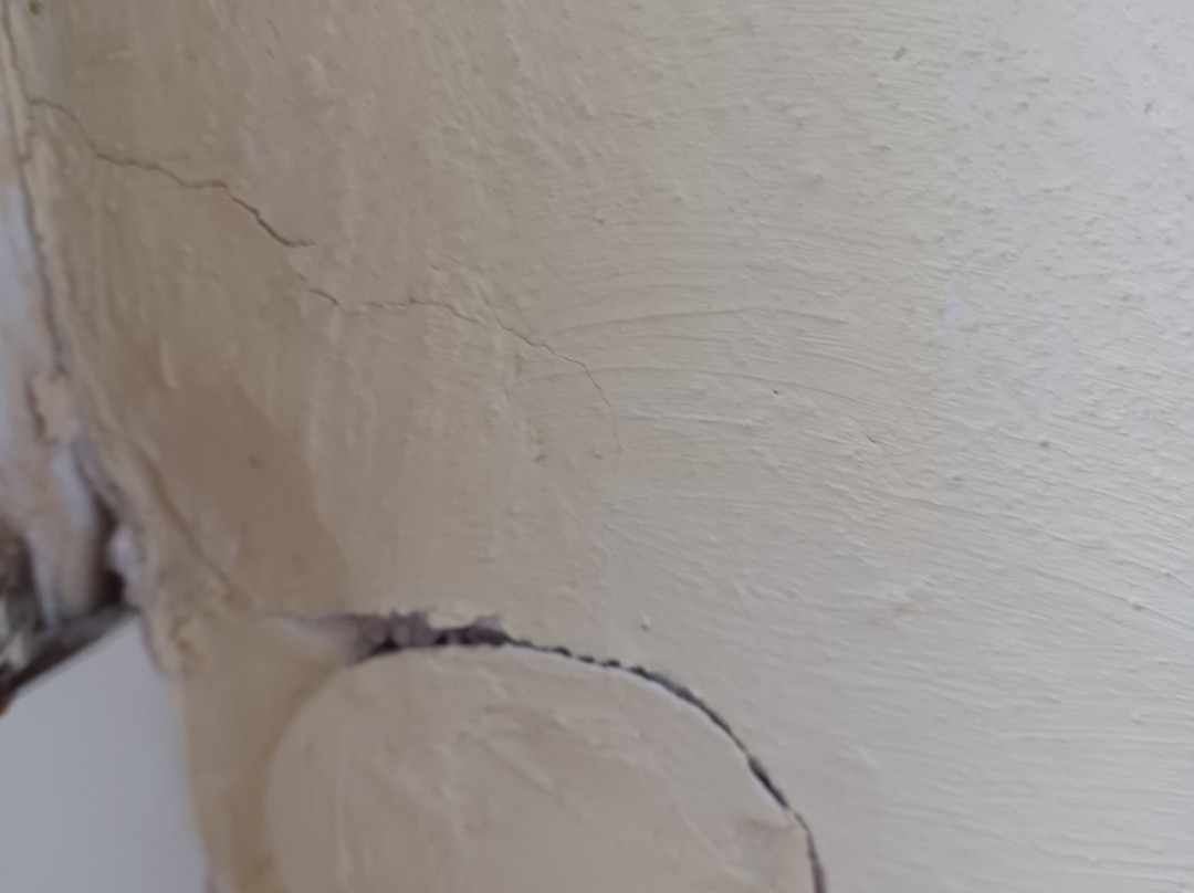 Meister Bär Hotel主图