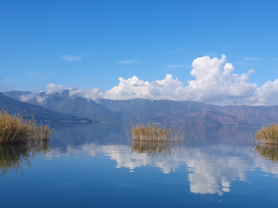 Dalyan Villa Kiydan Boat Tours景点图片