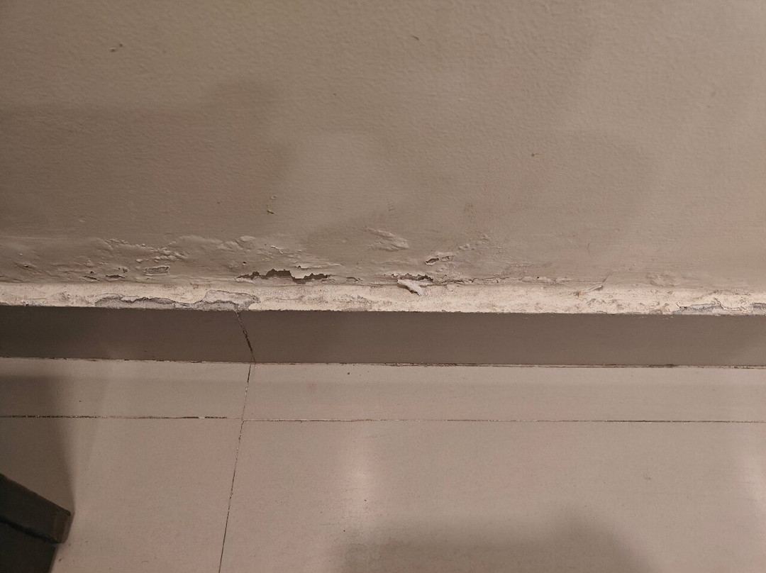 Hotel Patliputra Nirvana