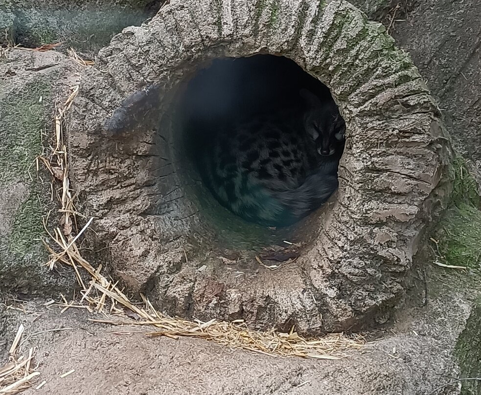 Mollo Parc-Mollo必去景点