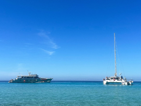 Baja Charters-拉巴斯必去景点