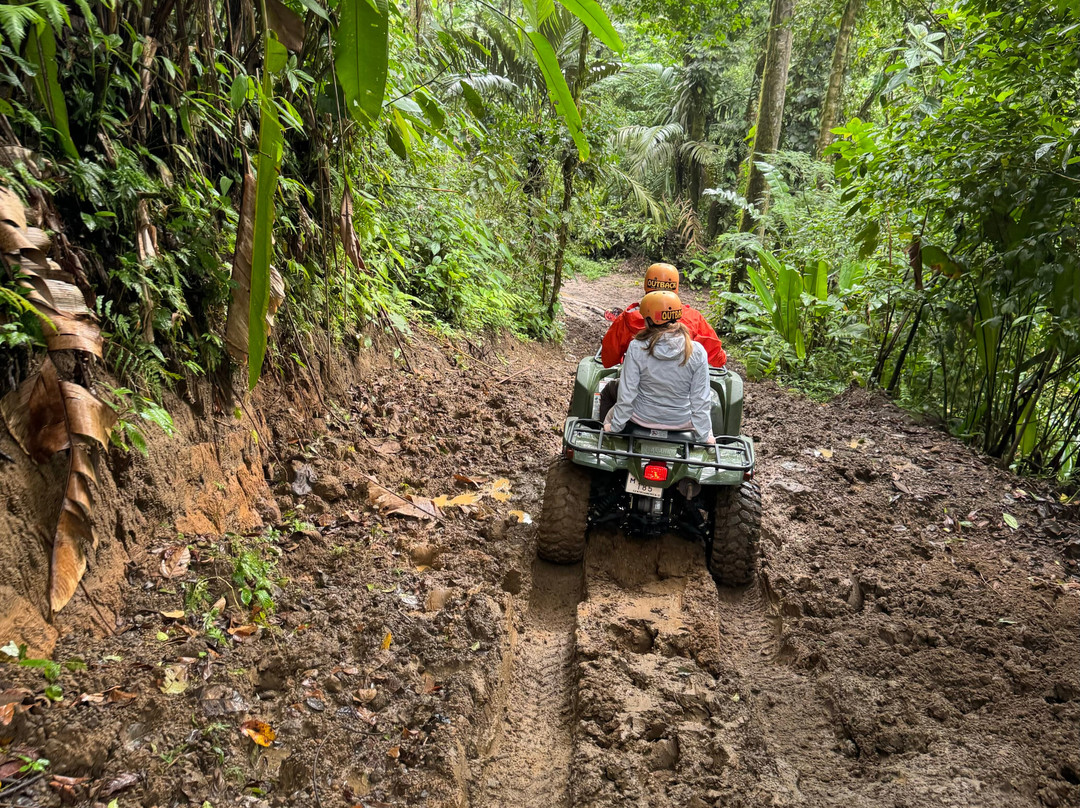 Costa Rica One On One Tours景点图片