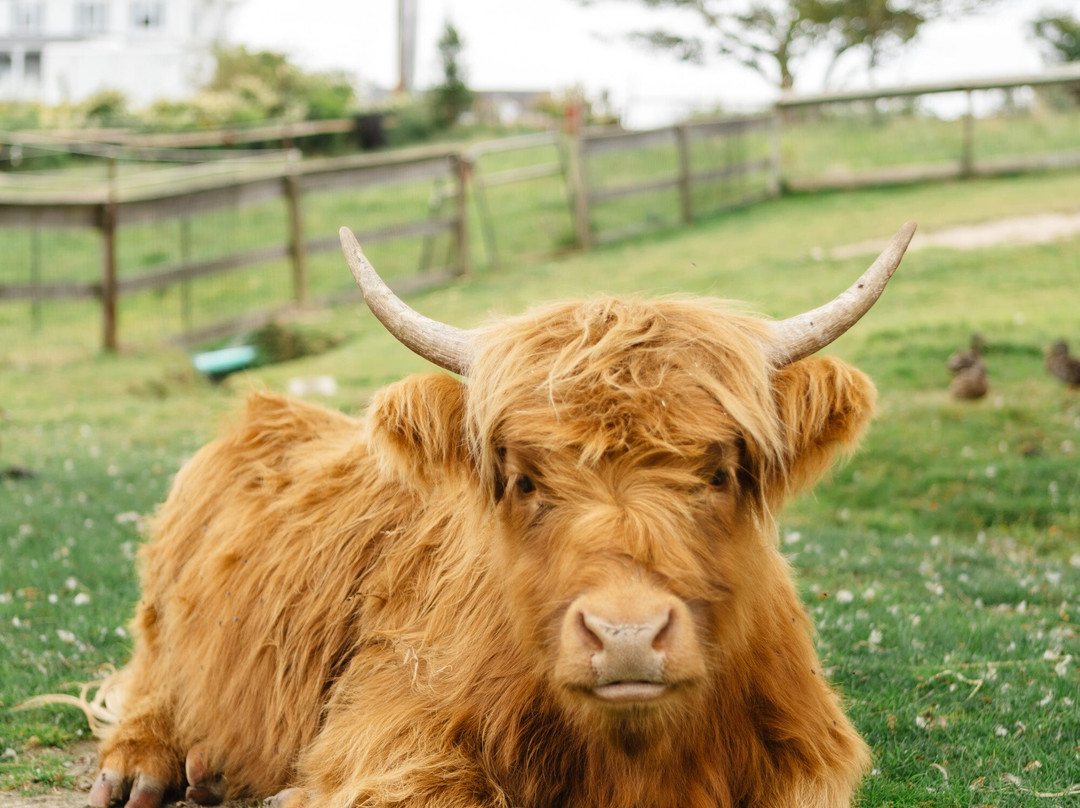 1661 Farm & Garden-新肖勒姆必去景点