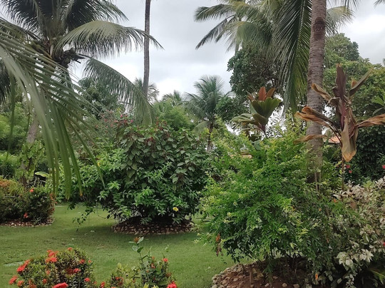 Hotel Casablanca主图