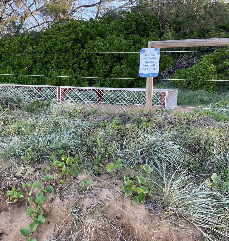 凯利海滩度假村主图