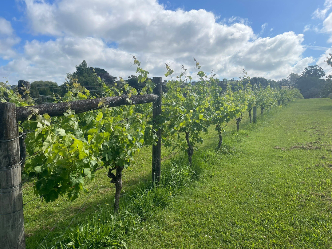 Vineyard Cottages主图