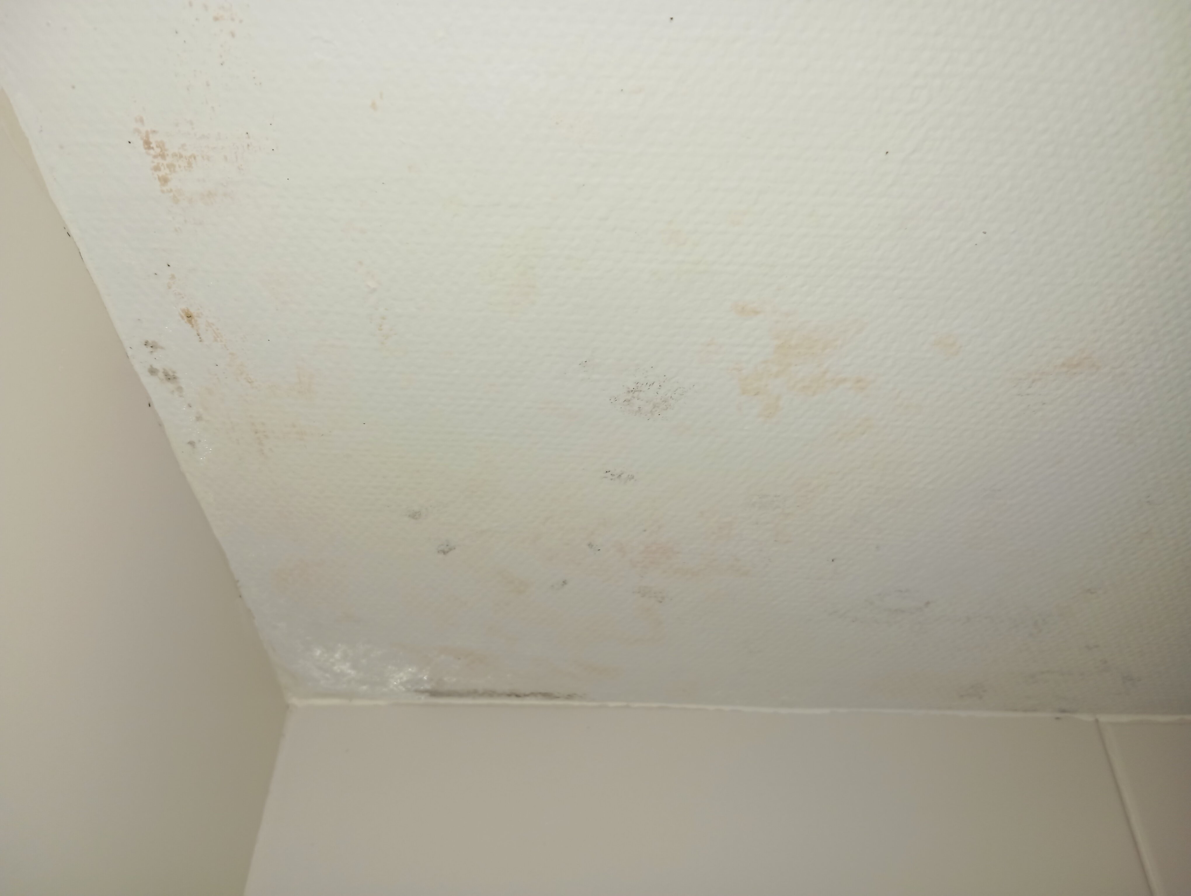 Ibis Budget Angouleme Centre-官方