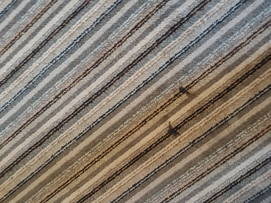 TLC贝斯特韦斯特酒店主图