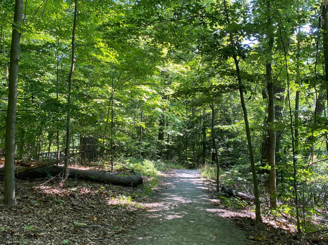 Mill Creek Park-Canfield必去景点
