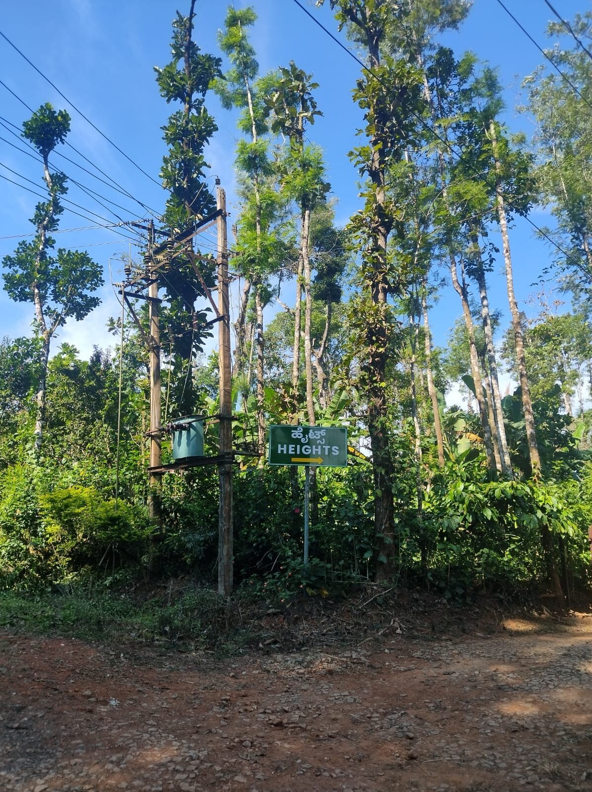 Heights Farm Stay | Coffee Estate Stay-官方